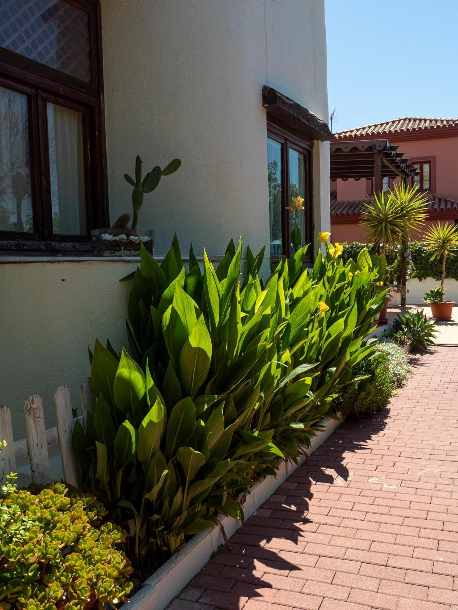 Villa Ibicenca Love بينالماذينا المظهر الخارجي الصورة