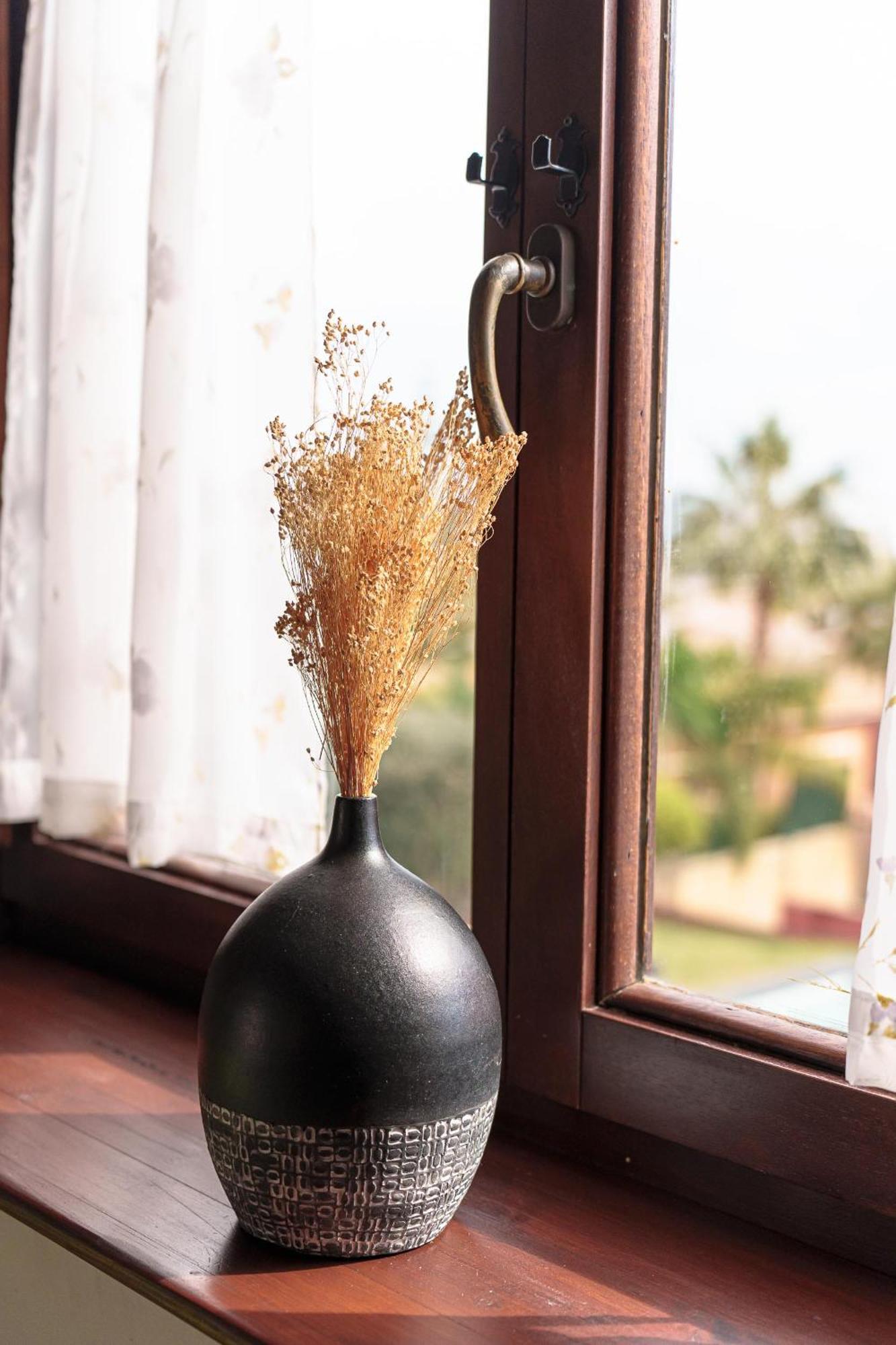 Villa Ibicenca Love بينالماذينا المظهر الخارجي الصورة