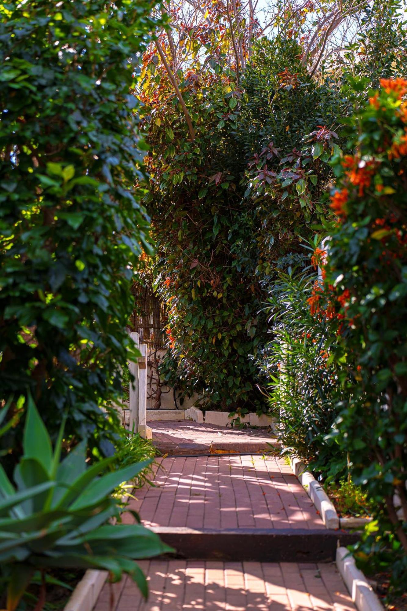Villa Ibicenca Love بينالماذينا المظهر الخارجي الصورة
